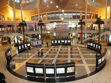 Organizing exhibitions and conferences